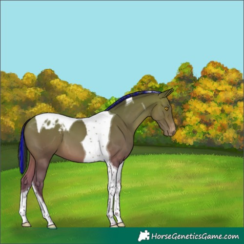 Horse Color:Painted Sable Champagne Tobiano Varnish 
