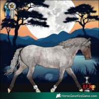 Horse Color:Silver Blue Roan Varnish 