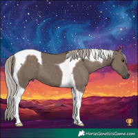Horse Color:Silver Grullo Tobiano 
