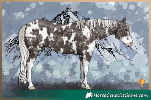 Horse Color:White Spotted Silver Black Ice Sabino