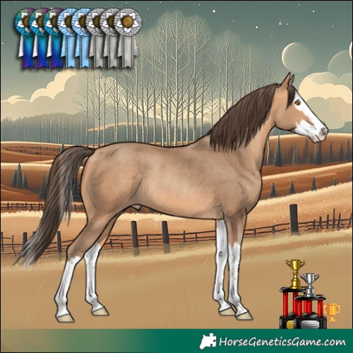 Horse Color:Amber Champagne Splash Rabicano 
