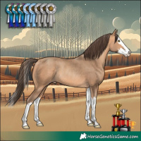 Horse Color:Amber Champagne Splash Rabicano 