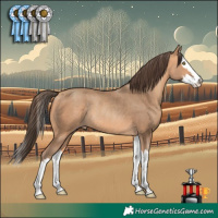 Horse Color:Amber Champagne Splash Rabicano