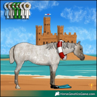 Horse Color:White Spotted Silver Smoky Grullo Roan 