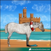 Horse Color:White Spotted Silver Smoky Grullo Roan 