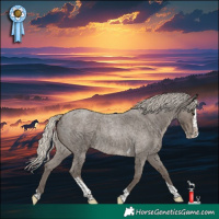 Horse Color:Silver Smoky Blue Roan Splash Tobiano