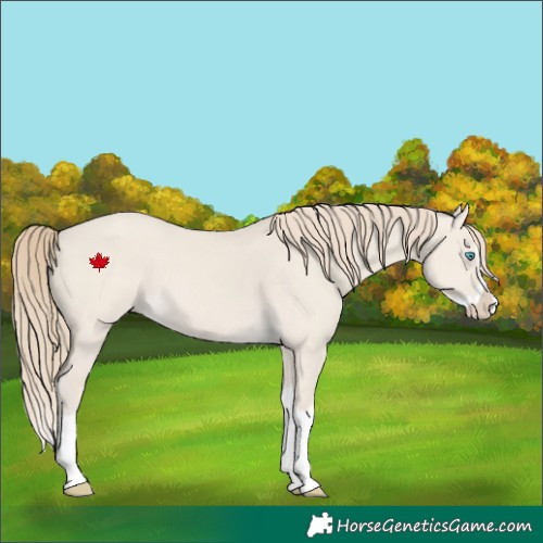 Horse Color:Smoky Creme Dun Splash