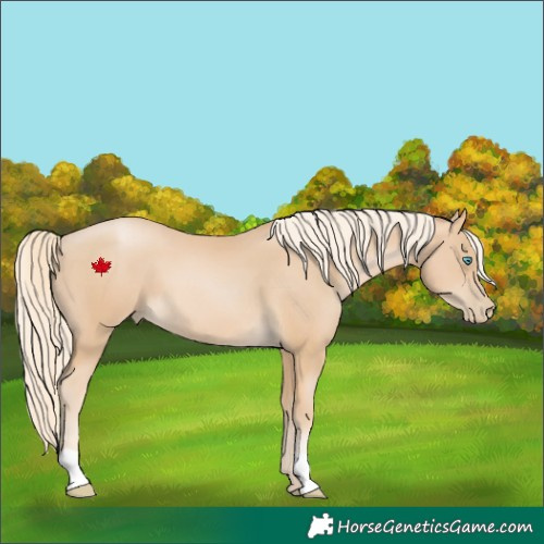 Horse Color:Palomino Pearl 