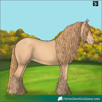 Horse Color:Gold Champagne 