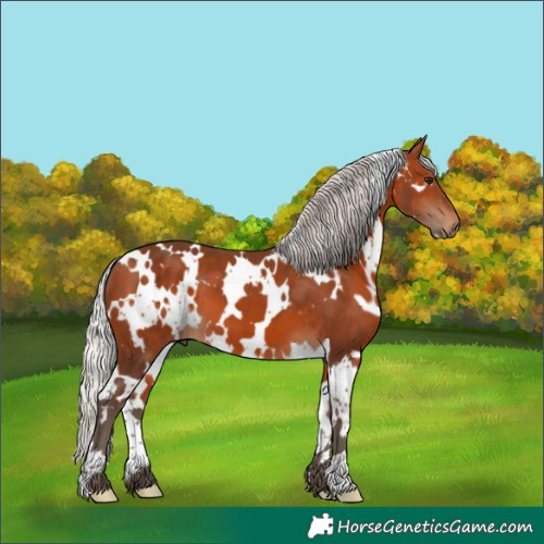 Horse Color:White Spotted Silver Brown 
