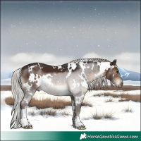 Horse Color:White Spotted Silver Brown