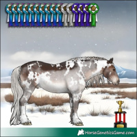 Horse Color:White Spotted Silver Brown