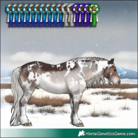 Horse Color:White Spotted Silver Brown 