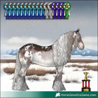 Horse Color:White Spotted Silver Brown 