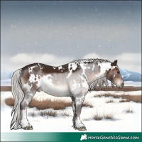 Horse Color:White Spotted Silver Brown 