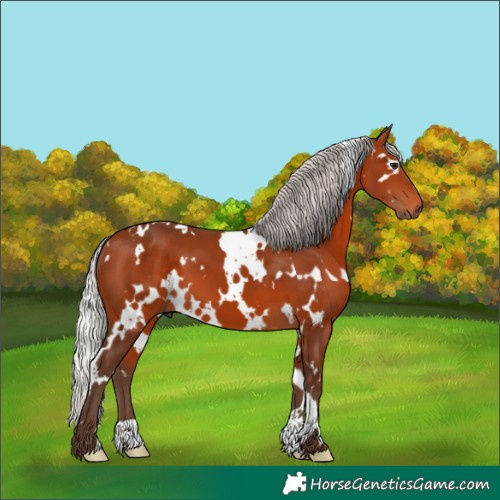 Horse Color:White Spotted Silver Brown 