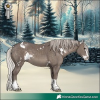 Horse Color:White Spotted Silver Black Splash