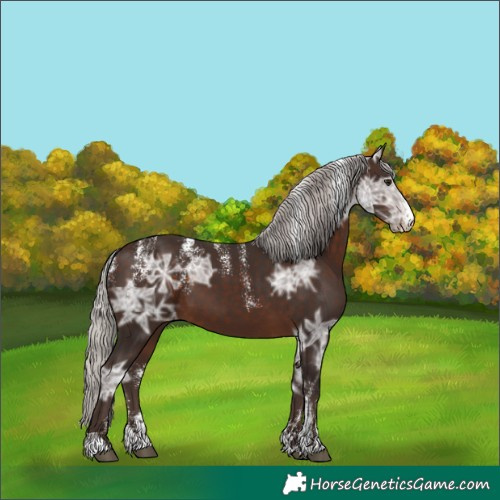 Horse Color:Powder White Silver Brown Ice Sabino 