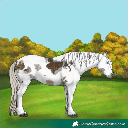 Horse Color:Silver Buckskin Merle Tobiano 