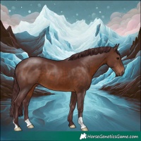 Horse Color:Chocolate Brown 