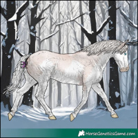 Horse Color:White Spotted Silver Amber Champagne Pearl Mushroom Splash 