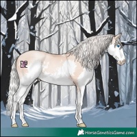 Horse Color:White Spotted Silver Amber Champagne Pearl Mushroom Splash 