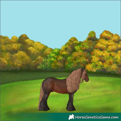 Horse Color:Liver Chestnut 