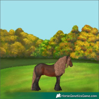 Horse Color:Liver Chestnut 