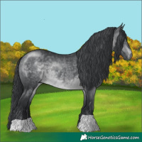 Horse Color:Brown Chinchilla