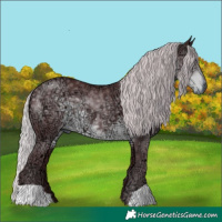 Horse Color:Chocolate Silver Smoky Black Chinchilla Ice 