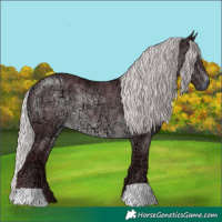 Horse Color:Chocolate Silver Brown Chinchilla Ice 