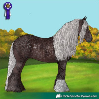 Horse Color:Chocolate Silver Black Chinchilla Ice 
