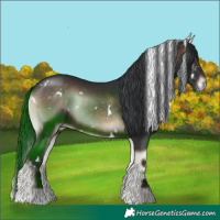 Horse Color:White Spotted Brown Onyx 