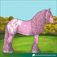 Horse Color:Watercolor White Spotted Black Near Leopard 