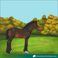 Horse Color:Brown 