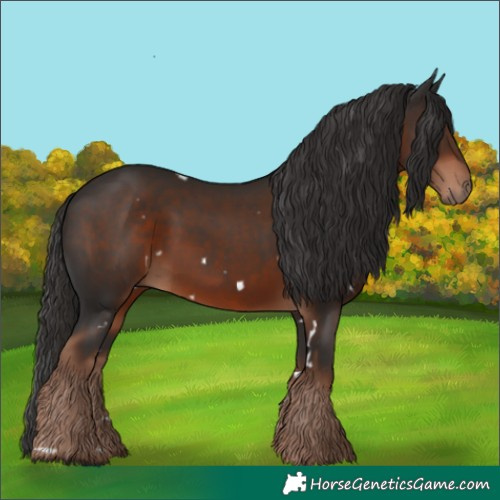 Horse Color:White Spotted Liver Chestnut 