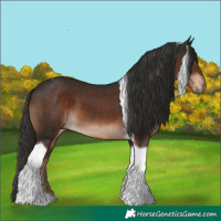 Horse Color:Liver Chestnut Tobiano