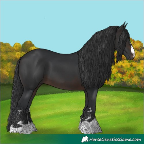 Horse Color:Brown 
