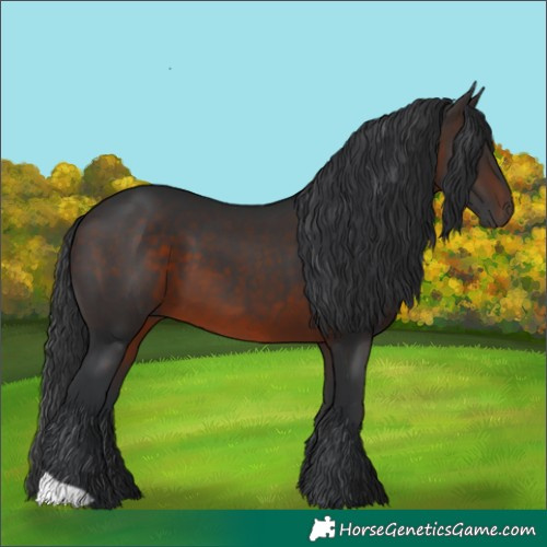 Horse Color:Brown 