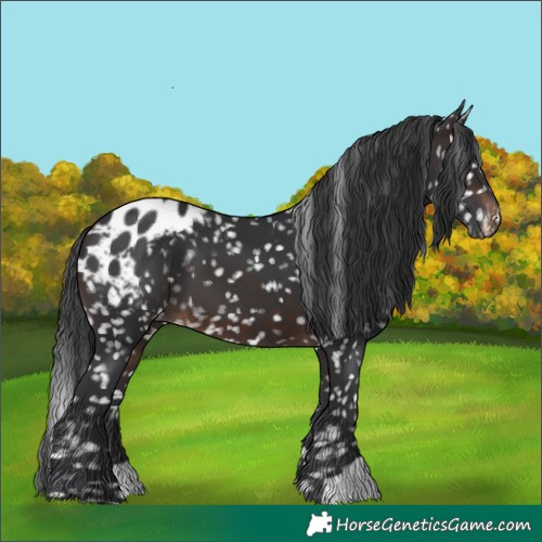 Horse Color:Brown Blanket 