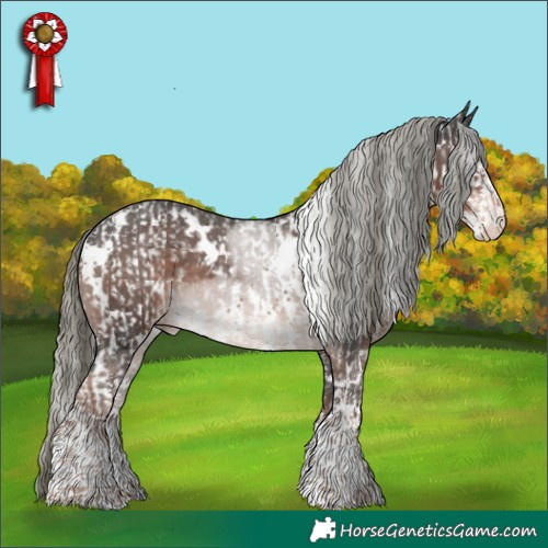 Horse Color:White Spotted Liver Chestnut Mushroom Sabino Appaloosa  and White Spotted Liver Chestnut Mushroom Sabino Appaloosa 