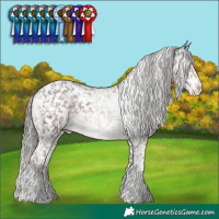 Horse Color:White Spotted Liver Chestnut Mushroom Sabino Appaloosa and White Spotted Liver Chestnut Mushroom Sabino Appaloosa