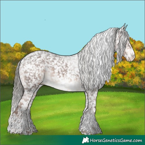 Horse Color:White Spotted Liver Chestnut Mushroom Sabino Appaloosa 