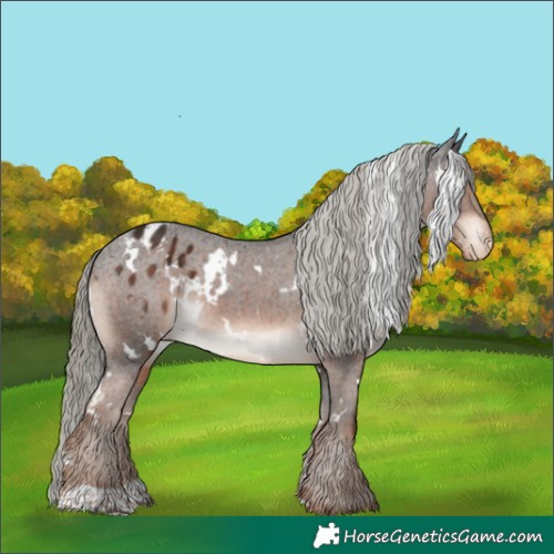 Horse Color:White Spotted Liver Chestnut Mushroom Appaloosa 