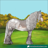 Horse Color:White Spotted Silver Brown Mushroom Appaloosa 