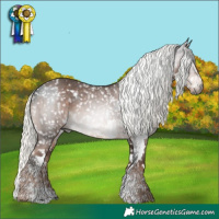 Horse Color:Gray Brown Sabino Appaloosa  and Liver Chestnut Mushroom Sabino Appaloosa 