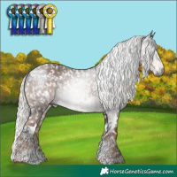 Horse Color:Gray Brown Sabino Appaloosa  and Liver Chestnut Mushroom Sabino Appaloosa 