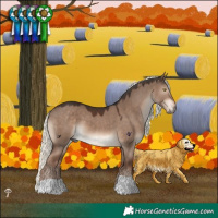 Horse Color:Liver Red Dun Mushroom 