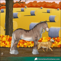 Horse Color:Liver Red Dun Mushroom 