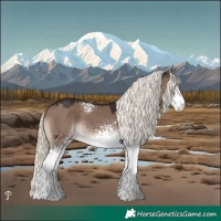 Horse Color:White Spotted Liver Red Dun Mushroom